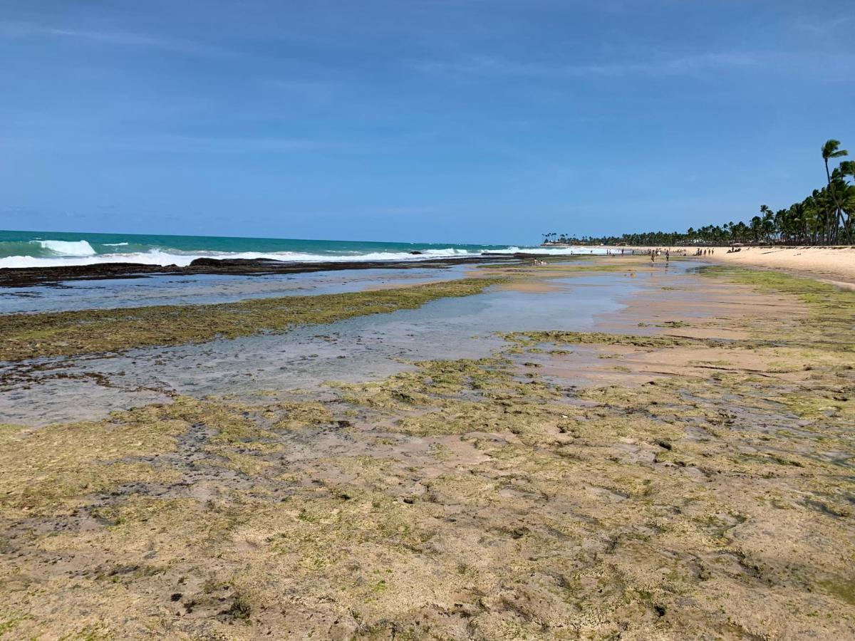 Flat Beach Class Muro Alto Porto de Galinhas Exterior photo